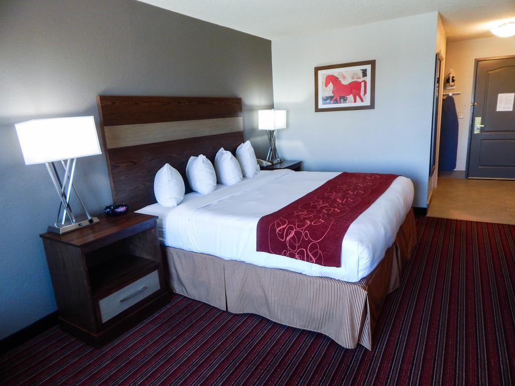 Country Inn & Suites By Radisson, Dfw Airport South, Tx Irving Exteriér fotografie